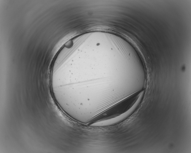 X0000116141050200912141128