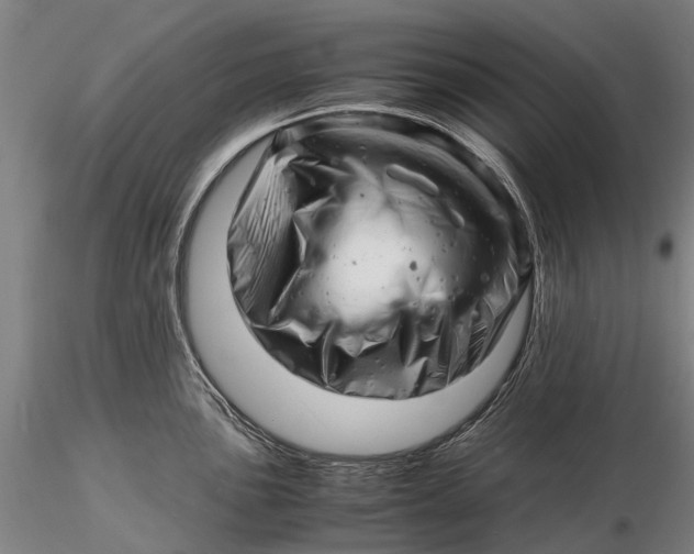 X0000116141051200912141128