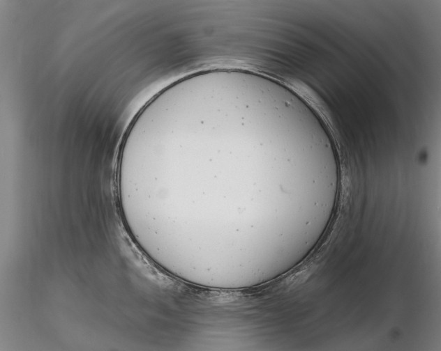 X0000116141052200912141128