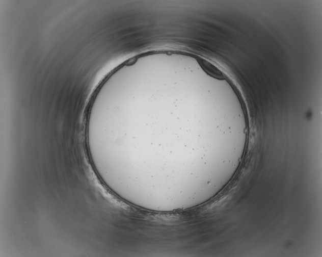 X0000116141053200912141128