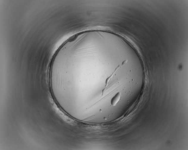 X0000116141054200912141128