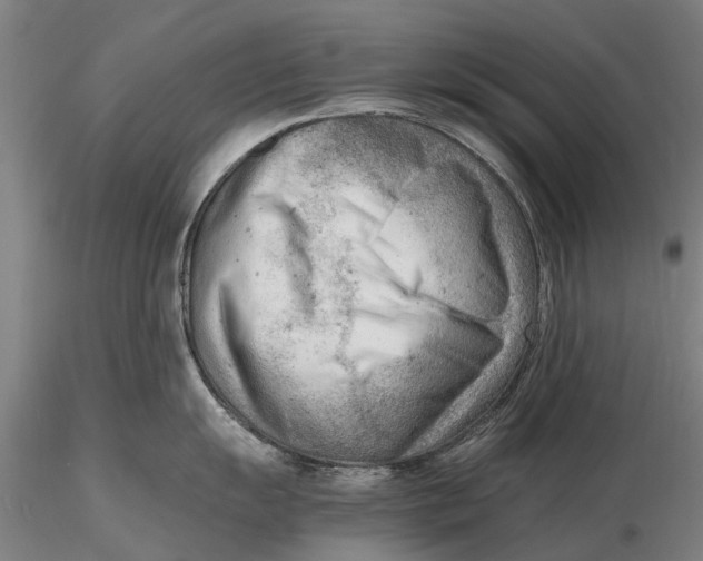 X0000116141055200912141128