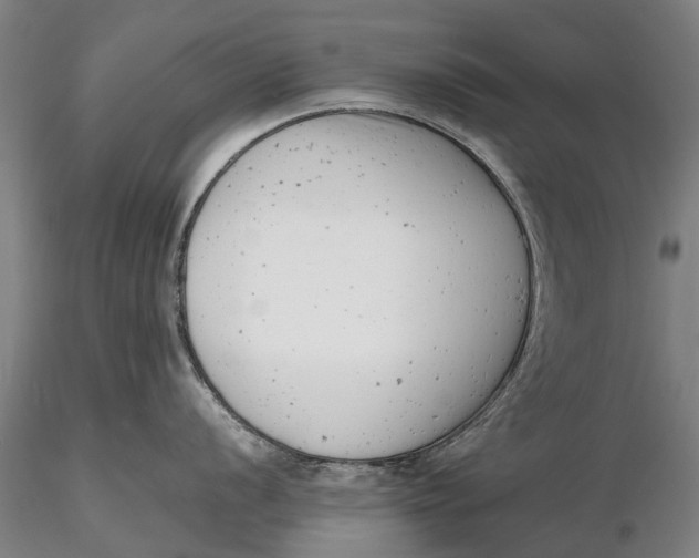 X0000116141056200912141128