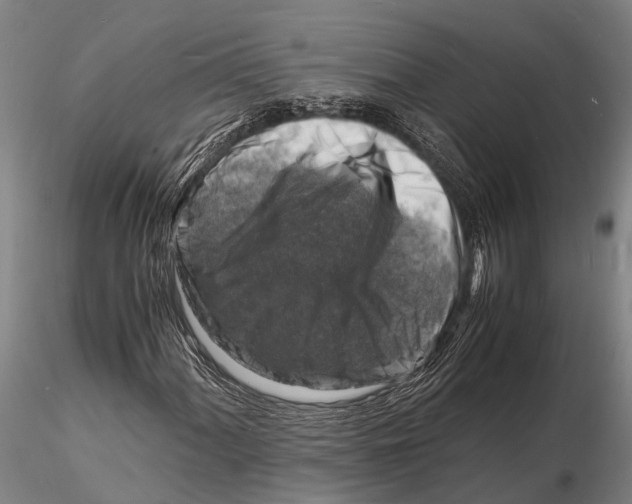 X0000116141060200912141127