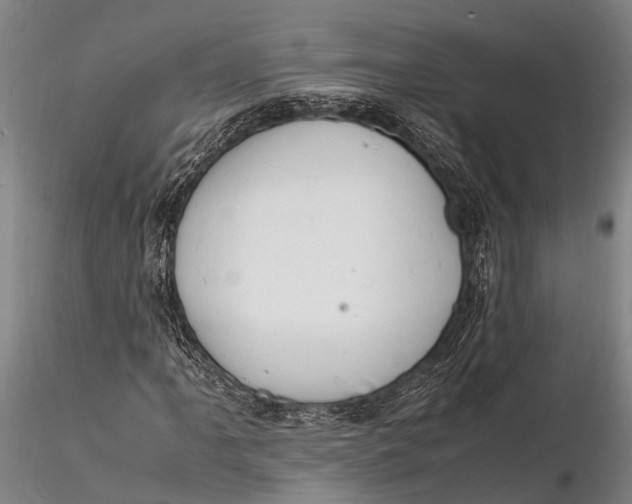 X0000116141061200912141127