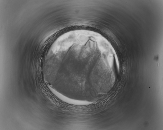 X0000116141064200912141127