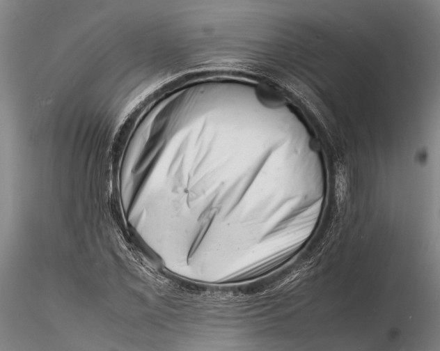 X0000116141069200912141127