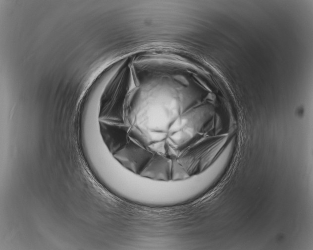 X0000116141075200912141127