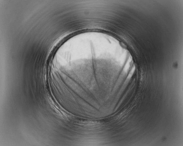 X0000116141076200912141127