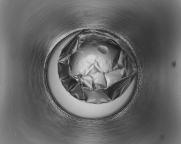 X0000116141077200912141127