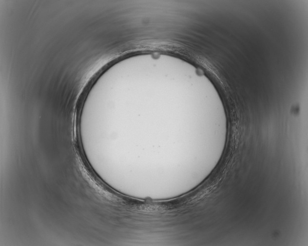 X0000116141079200912141127