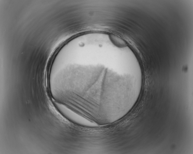 X0000116141080200912141127