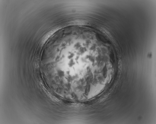 X0000116141081200912141127