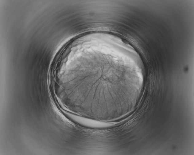 X0000116141084200912141127