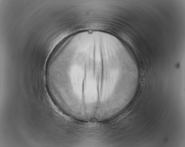 X0000116141087200912141127