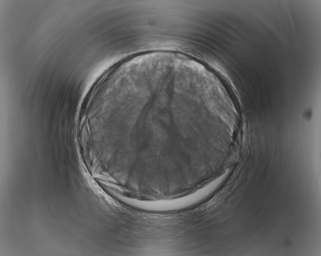 X0000116141088200912141127