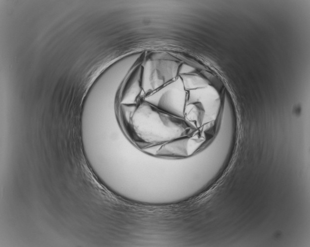 X0000116141089200912141127