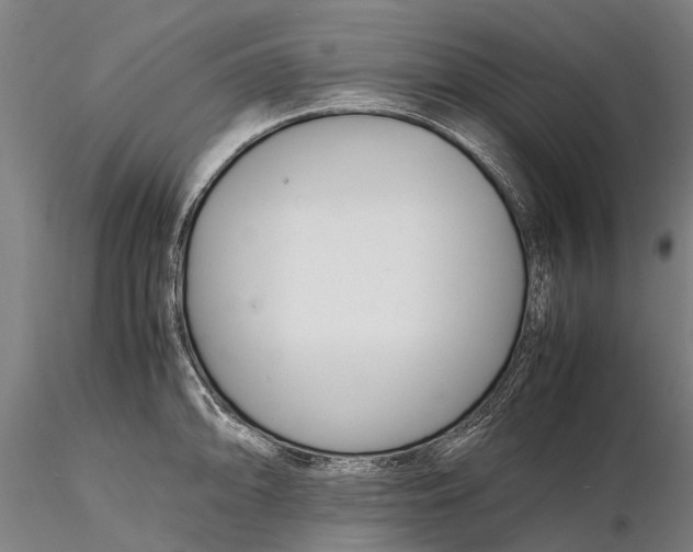 X0000116141094200912141127