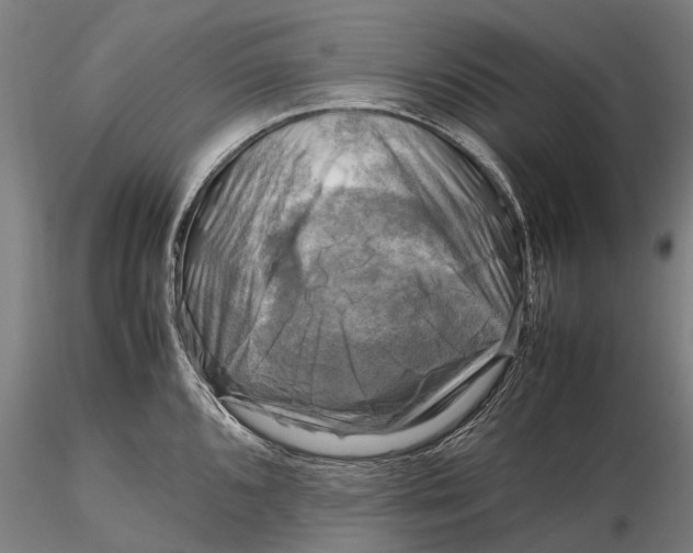 X0000116141096200912141127