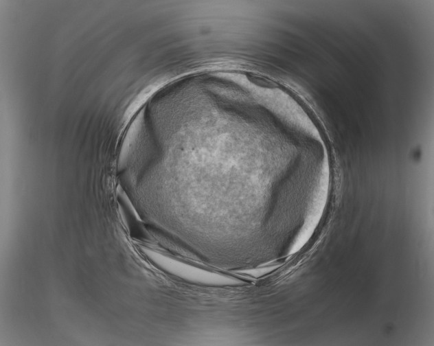 X0000116141097200912141127