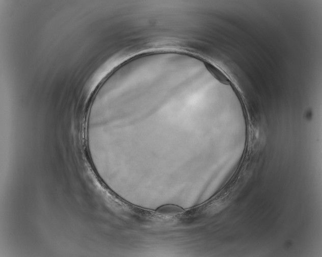 X0000116141101200912141127