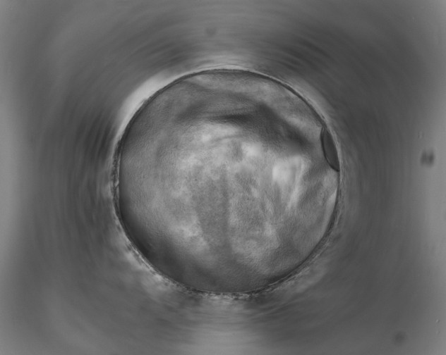 X0000116141104200912141127