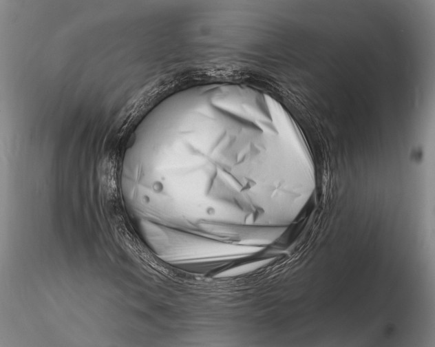 X0000116141106200912141126