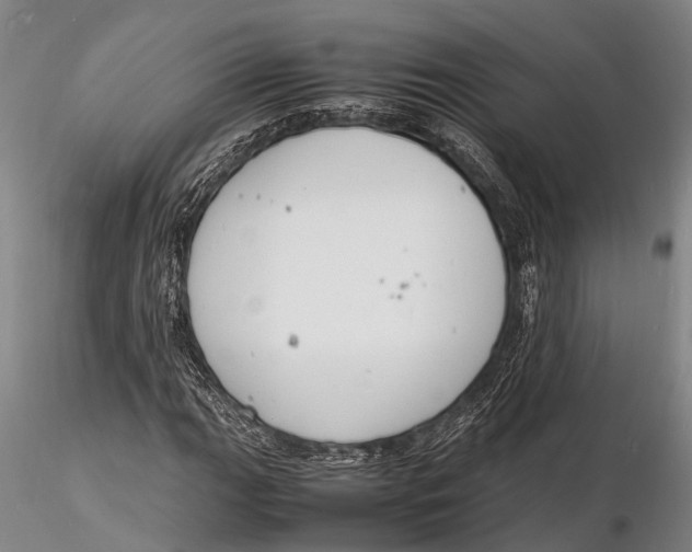 X0000116141111200912141126