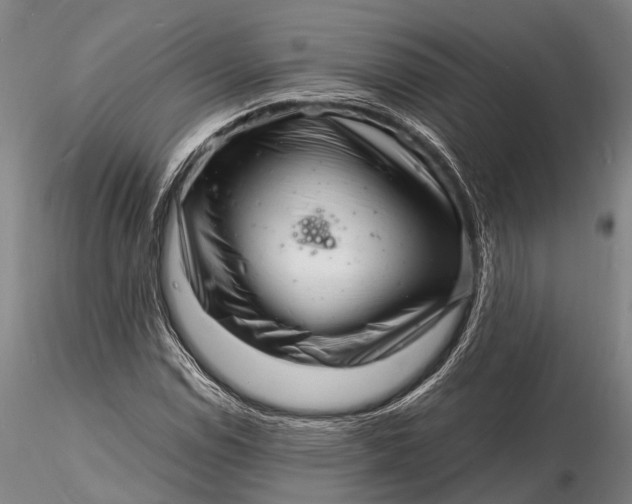 X0000116141114200912141126