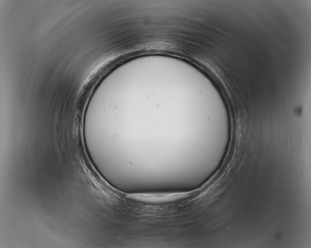 X0000116141115200912141126