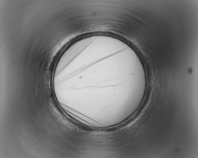 X0000116141118200912141126