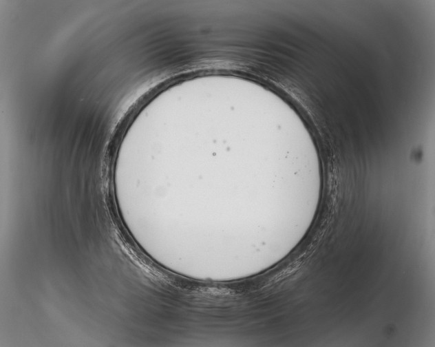 X0000116141119200912141126