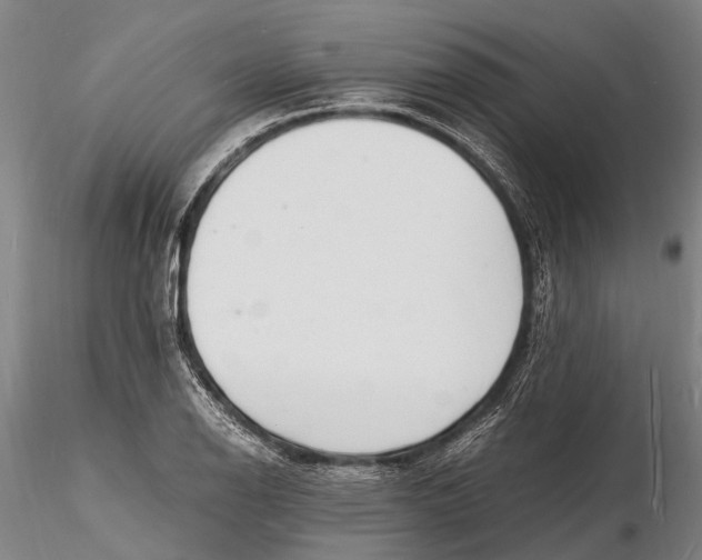 X0000116141126200912141126