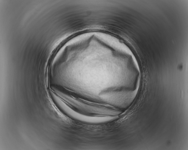 X0000116141127200912141126