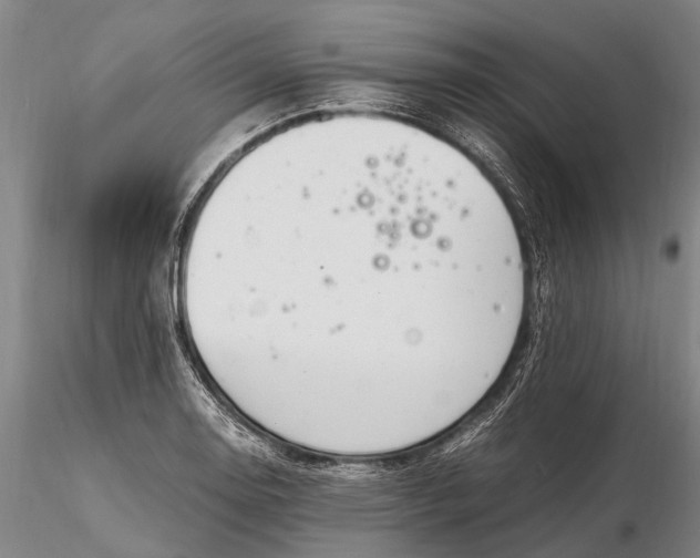 X0000116141130200912141126