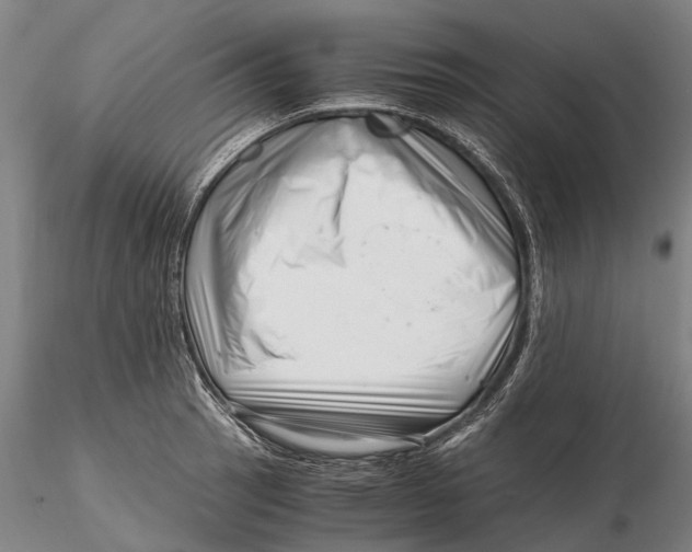 X0000116141137200912141126