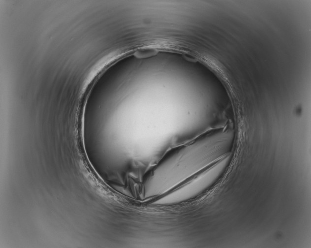 X0000116141138200912141126