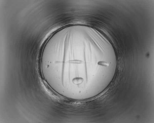 X0000116141139200912141126