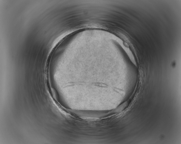 X0000116141141200912141126