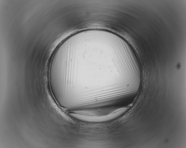 X0000116141142200912141126