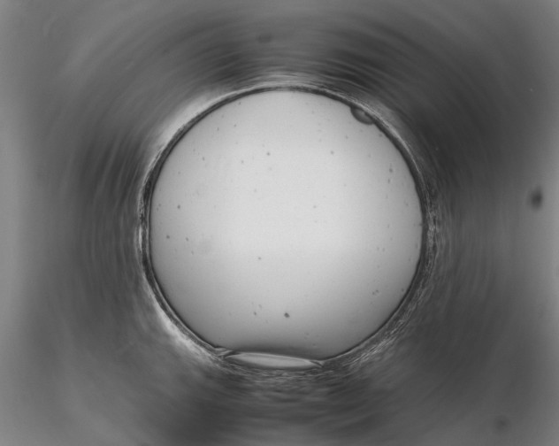 X0000116141143200912141127