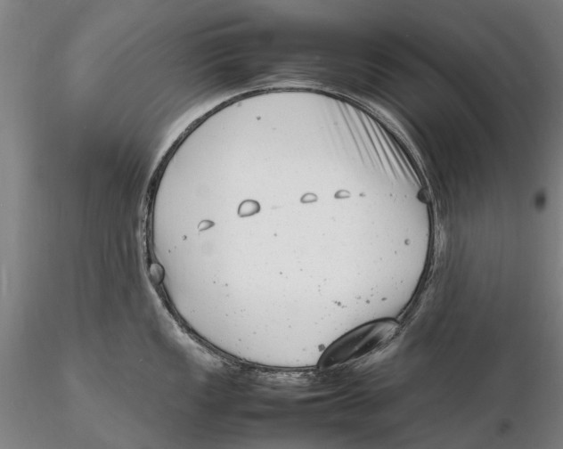 X0000116141149200912141127