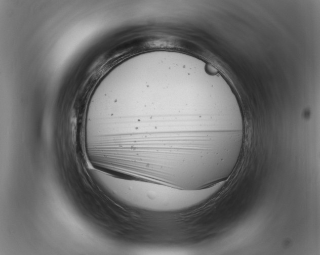 X0000116141151200912141127