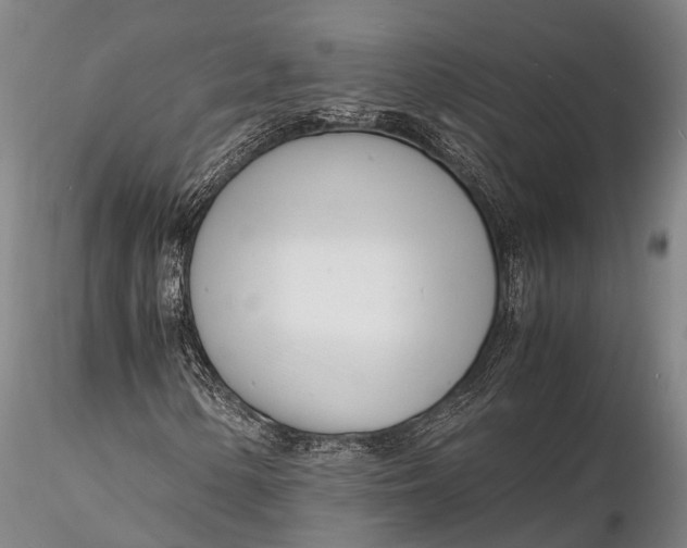 X0000116141154200912141126