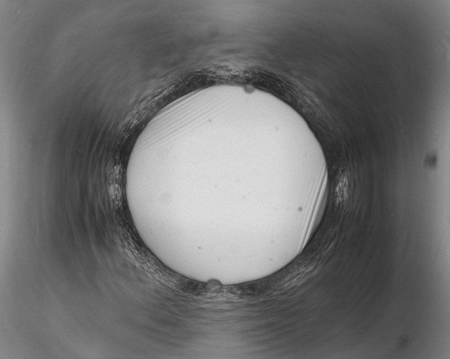 X0000116141156200912141126