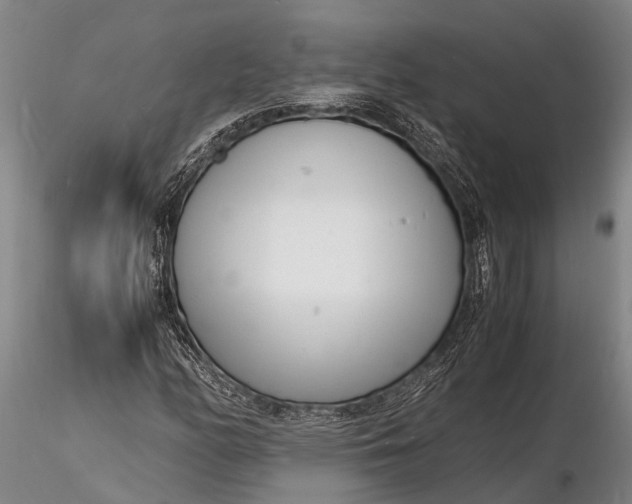 X0000116141158200912141126