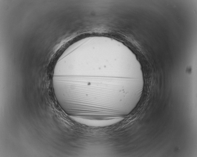 X0000116141160200912141126