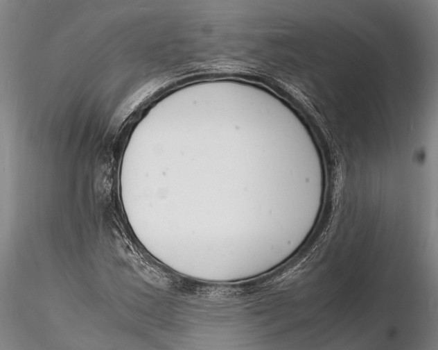 X0000116141163200912141126