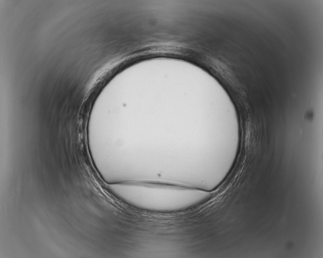 X0000116141164200912141126