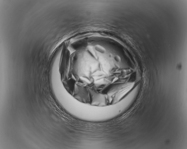 X0000116141165200912141126